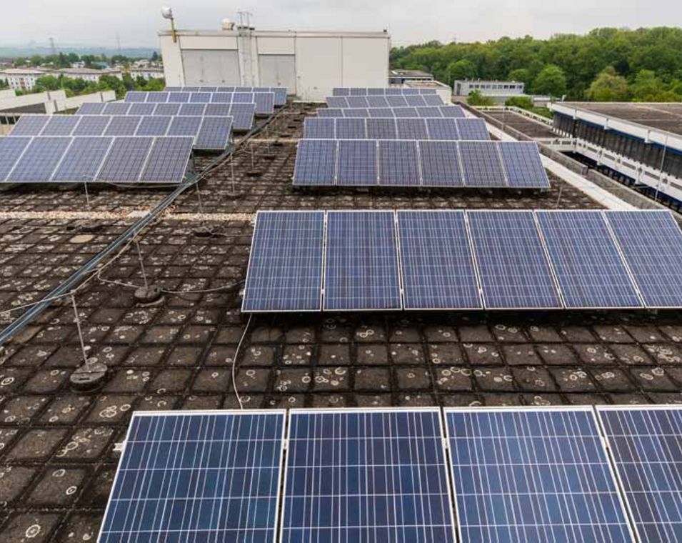 Eine Photovoltaik-Anlage steht auf dem Dach der Hochschule Ludwigsburg.