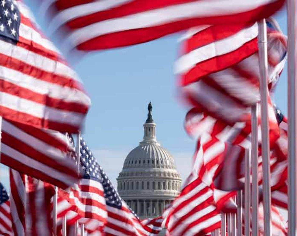 Fahnenmeer aus US-Flaggen vor dem Kapitol in Washington