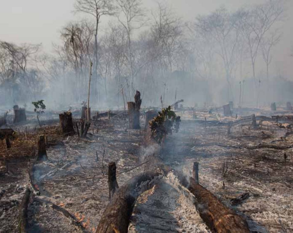 abgebrannte Waldfläche im Amazonasgebiet in Bolivien